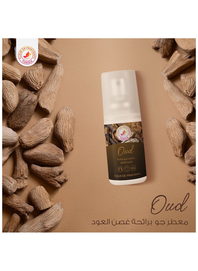 Fleur De Printemps Ultimate Variety Air Freshener Box | 6 Scents: Oud, Ocean, Citrus, Lavender, Tropical Fruits, Amber | Diverse & Captivating | Gas-Free & Anti-Smoking | Ideal for Home, Car, Office, Fabrics - Image 3