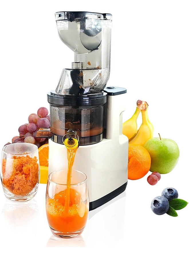 Joshberg Cold Press Juicer, Slow Cold Press Juicer with Larger Feed Chute, Pure Juicer Machines for Vegetables & Fruits, Easy to Clean with Brush - Image 1