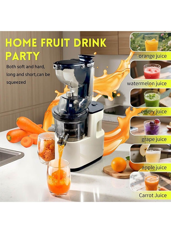 Joshberg Cold Press Juicer, Slow Cold Press Juicer with Larger Feed Chute, Pure Juicer Machines for Vegetables & Fruits, Easy to Clean with Brush - Image 2