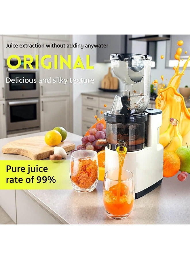 Joshberg Cold Press Juicer, Slow Cold Press Juicer with Larger Feed Chute, Pure Juicer Machines for Vegetables & Fruits, Easy to Clean with Brush - Image 3