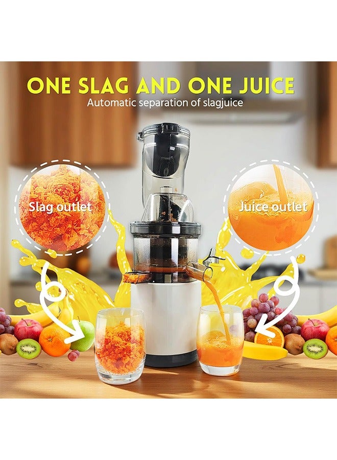 Joshberg Cold Press Juicer, Slow Cold Press Juicer with Larger Feed Chute, Pure Juicer Machines for Vegetables & Fruits, Easy to Clean with Brush - Image 4
