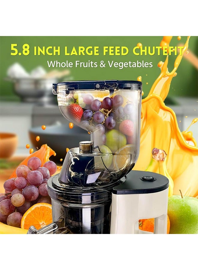 Joshberg Cold Press Juicer, Slow Cold Press Juicer with Larger Feed Chute, Pure Juicer Machines for Vegetables & Fruits, Easy to Clean with Brush - Image 5