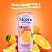 Bloom Nutrition مشروب الطاقة الفوار من بلوم للتغذية كافيين طبيعي بدون سكر 180 ملغ كافيين غني بمضادات الأكسدة مع مستخلص حبوب القهوة الخضراء ومستخلص الشاي الأخضر بروبيوتيك برائحة البرتقال 12 أونصة 12 عبوة - Image 4