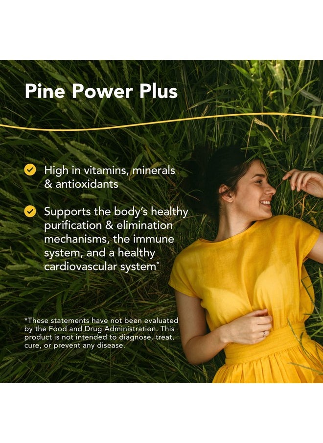 Pine Power Plus 8 Fl Oz Immune & Cardiovascular Support 23 Servings - pzsku/ZF7336126704EAC2AB3A3Z/45/_/1695146379/961faa90-f968-4789-a7c3-b312261873bb