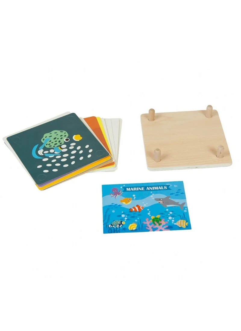 ألعاب أندرو Memory Game Sealife