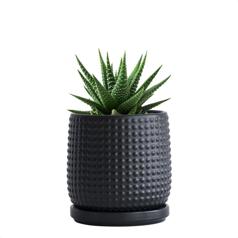 D'vine Dev 4 Inch Ceramic Beaded Stoneware Planter Pot - Flower Pot with Drainage Holes and Saucers for Indoor Succulent Plants or Flowers, Ebony Matte, 27-C-Z-6 - Image 1