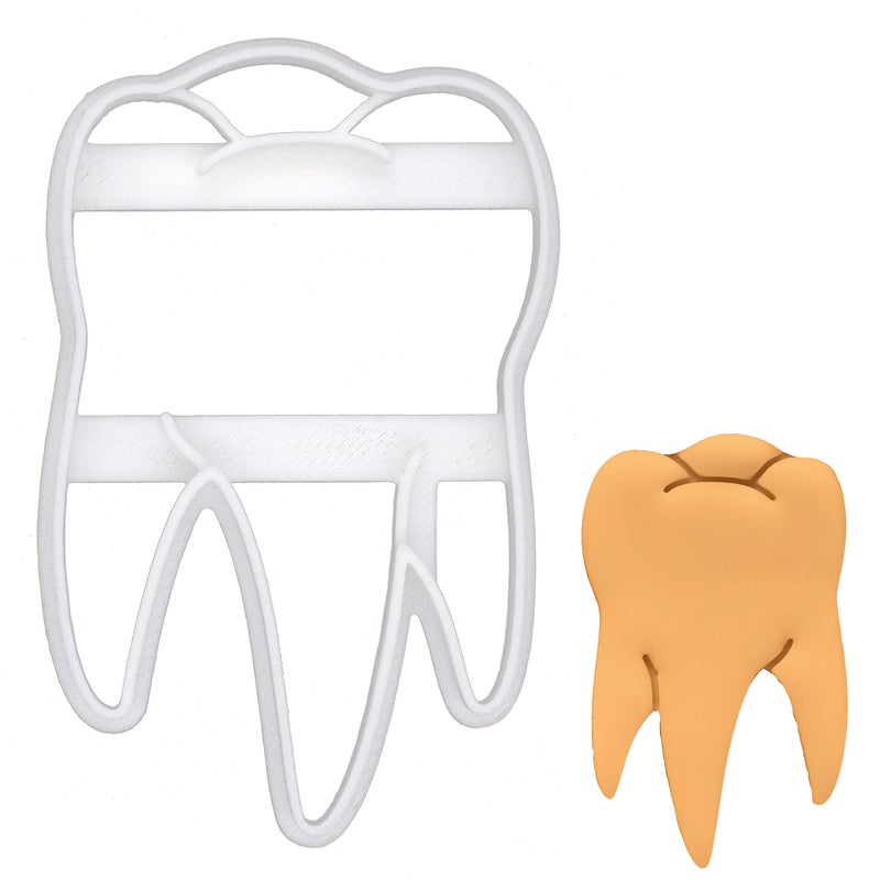 Realistic Molar Tooth cookie cutter 1 piece  Bakerlogy