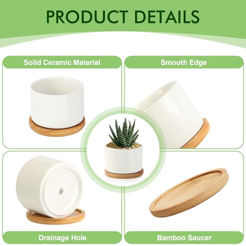 ZOUTOG Ceramic Succulent Pots,4 Inch Plant Pots,Succulent Planters with Drainage Hole & Bamboo Tray for Indoor Plants,White Small Flower Planters for Home,Office,Desk(6 Pack) - Image 3
