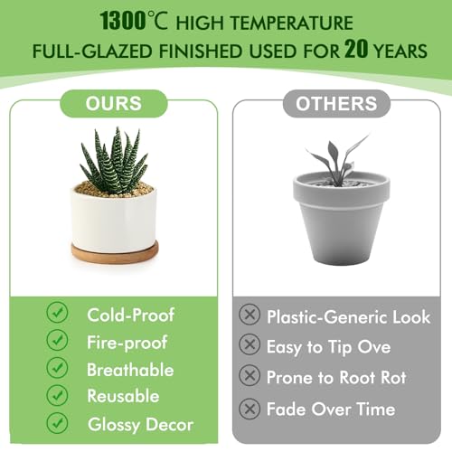 ZOUTOG Ceramic Succulent Pots,4 Inch Plant Pots,Succulent Planters with Drainage Hole & Bamboo Tray for Indoor Plants,White Small Flower Planters for Home,Office,Desk(6 Pack) - Image 5