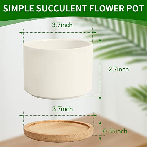 ZOUTOG Ceramic Succulent Pots,4 Inch Plant Pots,Succulent Planters with Drainage Hole & Bamboo Tray for Indoor Plants,White Small Flower Planters for Home,Office,Desk(6 Pack) - Image 2