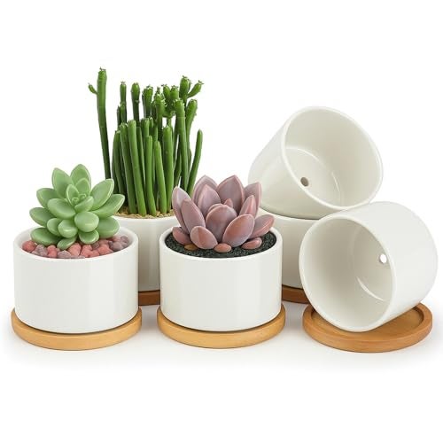ZOUTOG Ceramic Succulent Pots,4 Inch Plant Pots,Succulent Planters with Drainage Hole & Bamboo Tray for Indoor Plants,White Small Flower Planters for Home,Office,Desk(6 Pack) - Image 1
