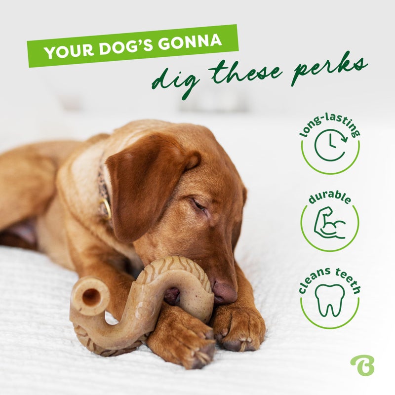 Benebone Tripe Bone Durable Dog Chew Toy for Aggressive Chewers, Real Tripe, Made in USA, Medium - Image 3