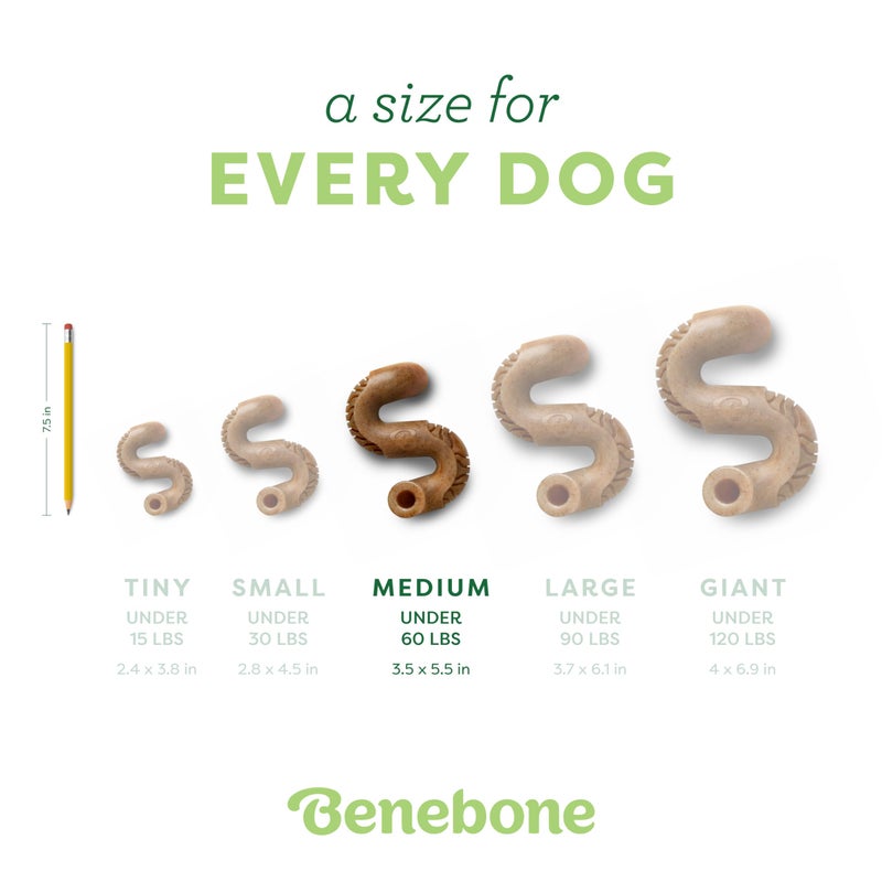 Benebone Tripe Bone Durable Dog Chew Toy for Aggressive Chewers, Real Tripe, Made in USA, Medium - Image 4