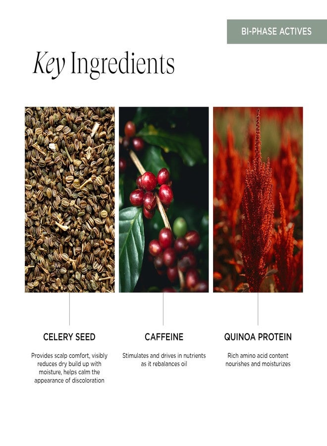 Intelligent Nutrients Soothe Sayer Bi-Phase Scalp Treatment - Flake Control & Redness Relief, 99% Natural, 67% Organic, Vegan, Clean Beauty - Nourishing Leave-In for Dry, Itchy, Irritated Scalps, 4 oz - Image 4