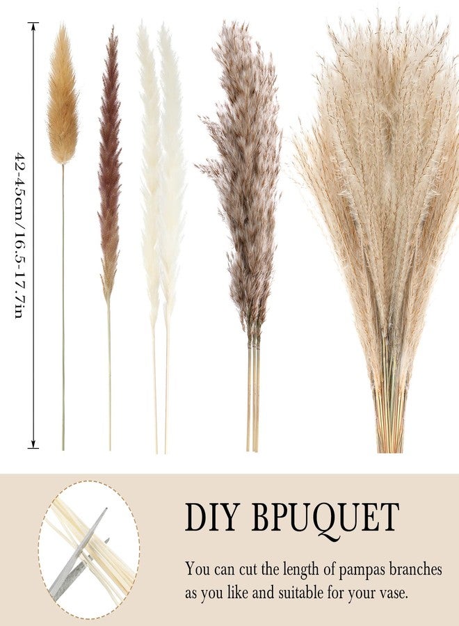 تريلا، 324 قطعة من عشب البامباس المجفف، 17 بوصة، عشب البامباس الأبيض، زهور زفاف بوهيمية رقيقة، 10 باقات زهور مجففة طبيعية متنوعة، ذيول أرنب لتزيين طاولة المنزل وحفلات المزرعة الريفية - Image 2
