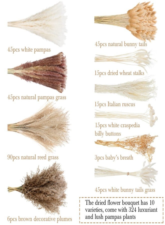 تريلا، 324 قطعة من عشب البامباس المجفف، 17 بوصة، عشب البامباس الأبيض، زهور زفاف بوهيمية رقيقة، 10 باقات زهور مجففة طبيعية متنوعة، ذيول أرنب لتزيين طاولة المنزل وحفلات المزرعة الريفية - Image 4