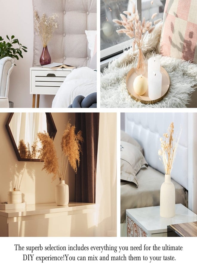 تريلا، 324 قطعة من عشب البامباس المجفف، 17 بوصة، عشب البامباس الأبيض، زهور زفاف بوهيمية رقيقة، 10 باقات زهور مجففة طبيعية متنوعة، ذيول أرنب لتزيين طاولة المنزل وحفلات المزرعة الريفية - Image 5