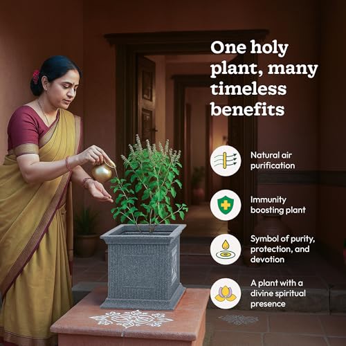 UGAOO Tulsi Pot for Home & Pooja/Puja – 12 Inch Tulsi Planter (Grey Stone) | Traditional Tulsi Pot Stand for Indoor, Outdoor & Balcony Use - Image 4