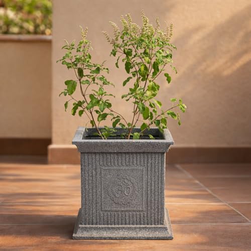 UGAOO Tulsi Pot for Home & Pooja/Puja – 12 Inch Tulsi Planter (Grey Stone) | Traditional Tulsi Pot Stand for Indoor, Outdoor & Balcony Use - Image 1