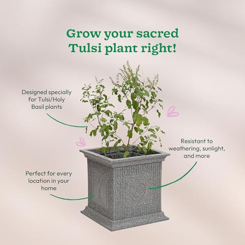 UGAOO Tulsi Pot for Home & Pooja/Puja – 12 Inch Tulsi Planter (Grey Stone) | Traditional Tulsi Pot Stand for Indoor, Outdoor & Balcony Use - Image 5