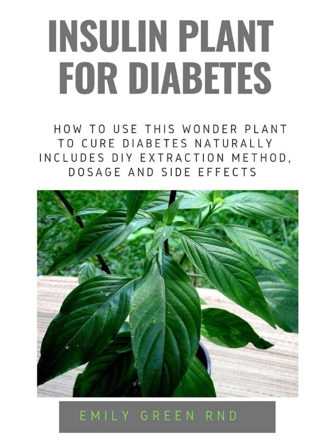 Insulin Plant for Diabetes: How to use this wonder plant to cure diabetes naturally includes DIY ext - Image 2