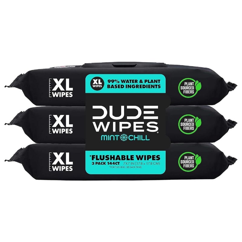 DUDE Wipes Flushable Wipes 3 Pack 144 Count Mint Chill ExtraLarge with VitaminE Aloe Eucalyptus Tea Tree Oils Septic and Sewer Safe