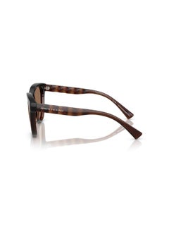 Armani Exchange Full Rimmed Phantos Sunglasses 0AX4148SU 56 835773  - Image 3