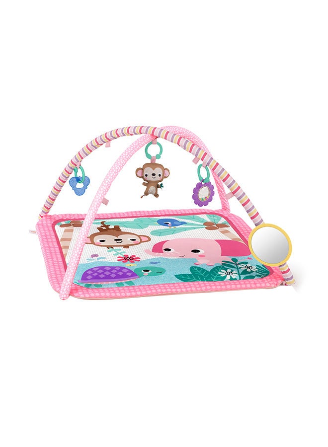 Bright Starts Value Activity Gym - Girl - Image 1