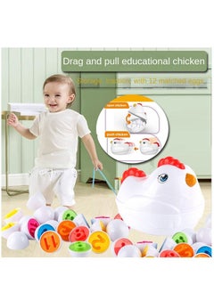 Y&D Toddler Chicken Toy Fine Motor Skills Matching Eggs Best Color And Digit Sorter Egg Toys  - Image 2