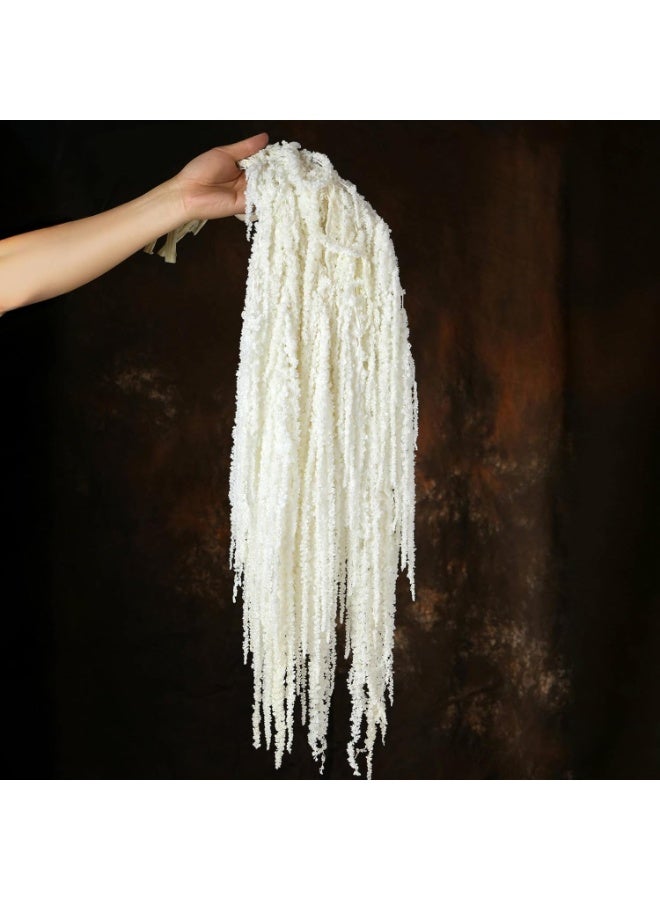 5 Pcs Dried Amaranthus Hanging Flowers, Natural Preserved, White, 24 inches - Image 2
