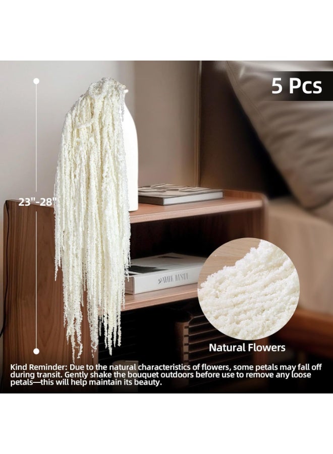 5 Pcs Dried Amaranthus Hanging Flowers, Natural Preserved, White, 24 inches - Image 3