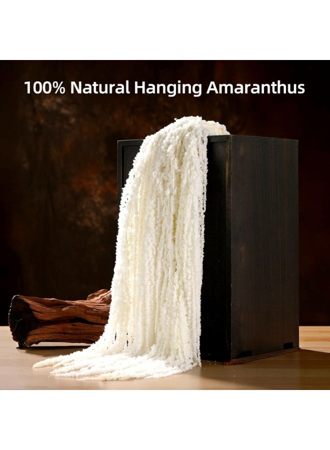 5 Pcs Dried Amaranthus Hanging Flowers, Natural Preserved, White, 24 inches - Image 1