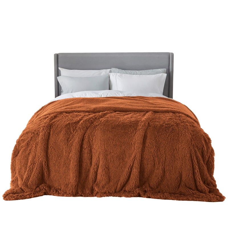 Bedsure GentleSoft Fluffy Burnt Orange Blankets Queen Size for Bed Cozy Thick Sherpa Faux Fur Fleece Fuzzy Plush Winter Warm Soft Full Queen Blankets Bedroom Decor Orange Gifts for Women Men 90x90