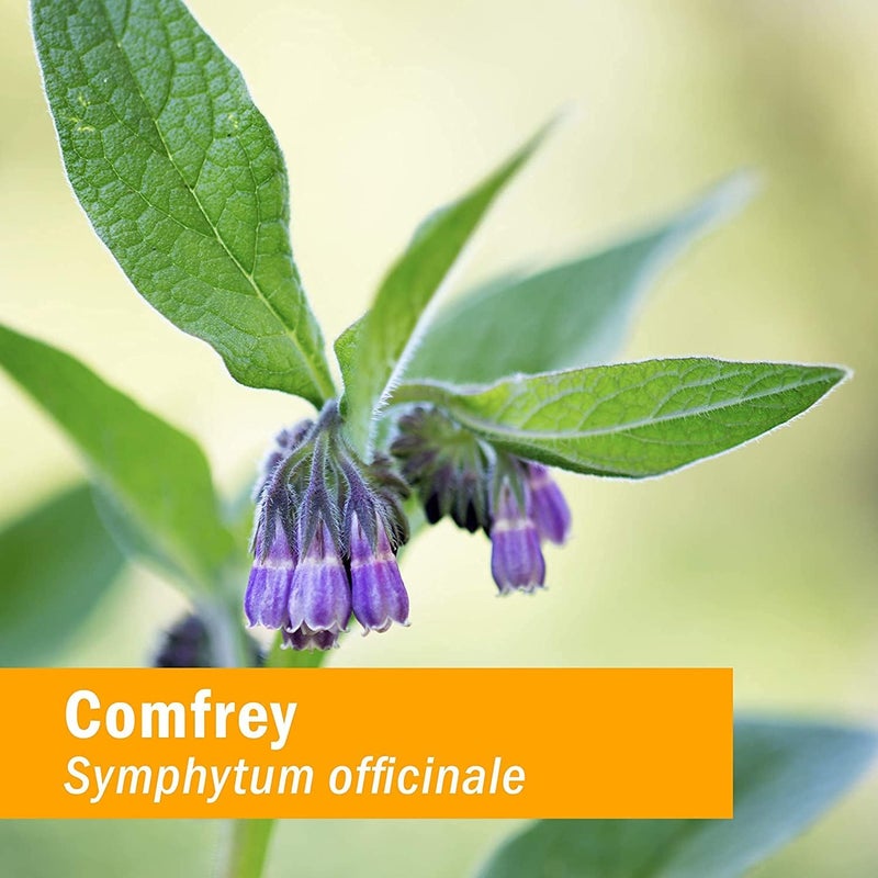 Herb Pharm Certified Organic Comfrey Liquid Extract - 1 Ounce (DCOMF0) - Image 3