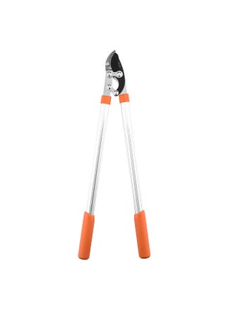Loppers Sharp Anvil Lopper Professional Gardening Pruning Lopper Ratchet Loppers Secateurs Gardening Tool Kit for Cutting Thick Branches Plants Tree - pzsku/ZF73F2E9AFBA921022E86Z/45/_/1696911537/93199d26-70bc-42f1-977c-4e86319b4c3c