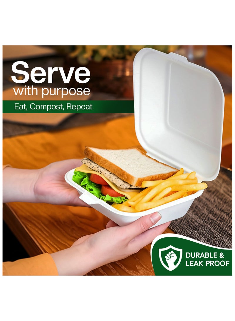 EcoEdge EcoEdge 6 Inch Square White Clamshell (Pack of 50) | Disposable Take Out Food Containers Made from Sugarcane Pulp | Plant Based, Natural, Durable, Chemical Free | For Everyday Use | 100% Biodegradable  - Image 5
