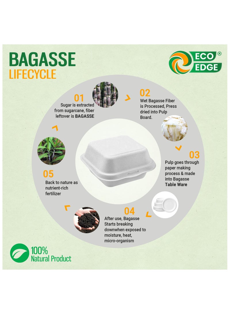 EcoEdge 6 Inch Square White Clamshell (Pack of 50) | Disposable Take Out Food Containers Made from Sugarcane Pulp | Plant Based, Natural, Durable, Chemical Free | For Everyday Use | 100% Biodegradable