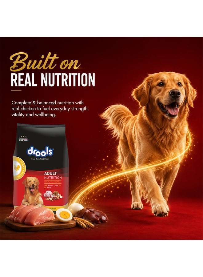 Drools Adult Dry Dog Food  Chicken & Egg - Image 5