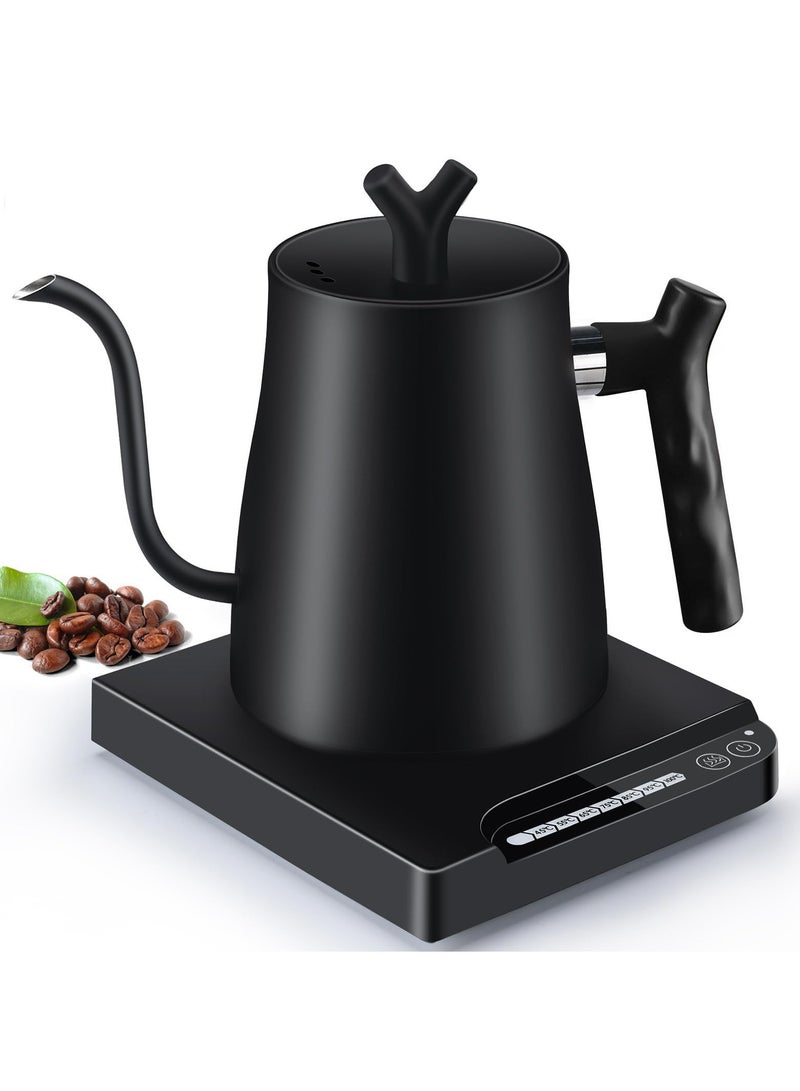 ET-LIFE Precision Electric Gooseneck Kettle 304 Stainless Steel Adjustable Temperature Quick Boil 1L - Image 1