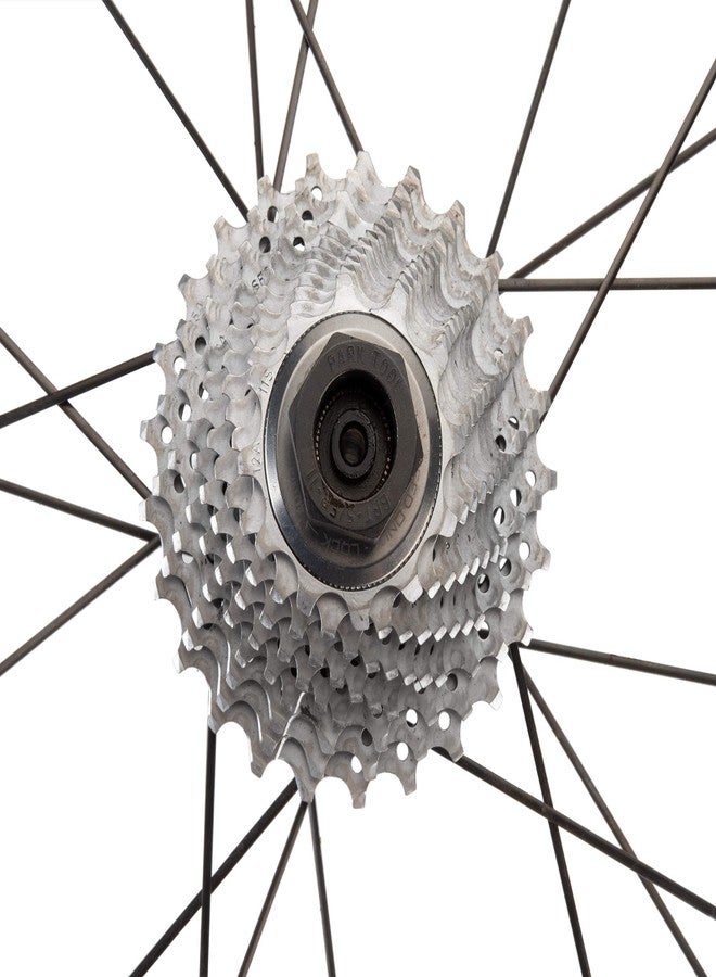 بارك تول أداة Park Tool BBT-5/FR-11 لفك وتركيب حلقة تثبيت المحور السفلي/الكاسيت - Image 4