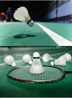 NAILI Badminton Shuttle 10-Piece Feather Shuttlecock - Professional Grade Feather Badminton Shuttlecocks for Training, Competition, Casual Play - Durable, Wind-Resistant Design for Smooth Flight and Control  - Image 4