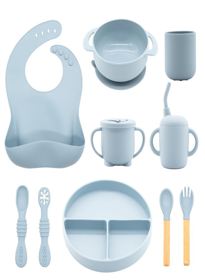CHCC Silicone Baby Feeding Set 10 Pcs, Baby Led Weaning Supplies, Baby Feeding Supplies Set BPA Free, Baby Essentials for Newborn Gift Blue - Image 1