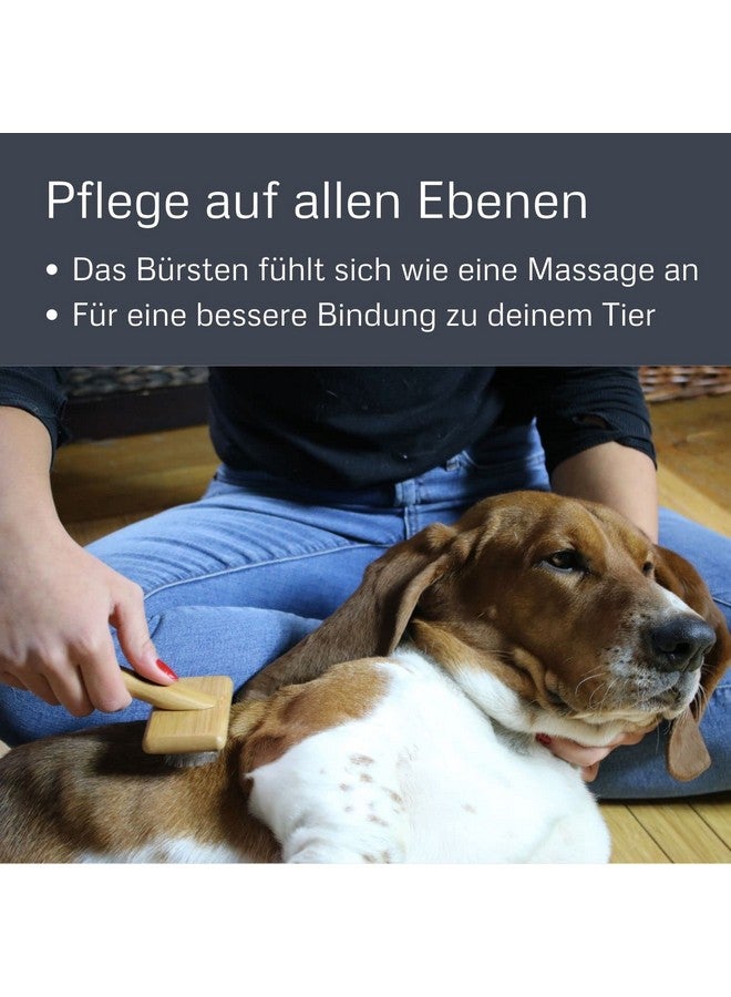 ألكوت فرشاة تنظيف من الخيزران مع دبابيس من الفولاذ المقاوم للصدأ للحيوانات الأليفة، صغيرة، سوداء - Image 5