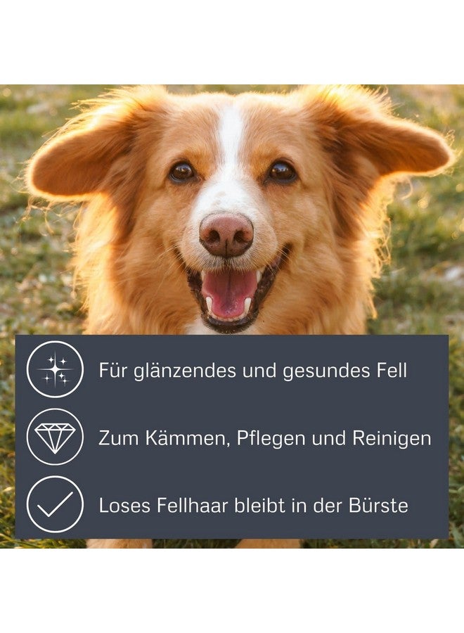 ألكوت فرشاة تنظيف من الخيزران مع دبابيس من الفولاذ المقاوم للصدأ للحيوانات الأليفة، صغيرة، سوداء - Image 4