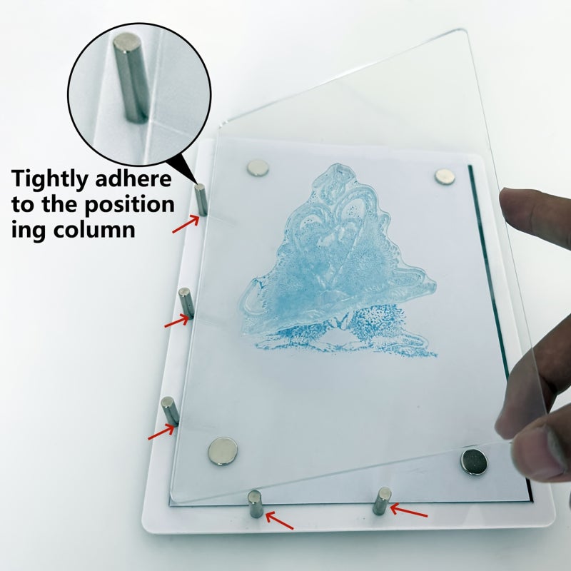 Stamp Platform: 20*15cm White Premium Acrylic Magnetic Sheet Precision Stamping - Durable Dual-Plate System Creative Tool for Scrapbooking, Card Making, DIY Projects - Image 5