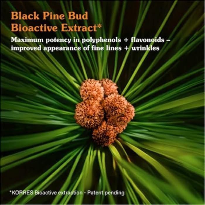 KORRES Black Pine Primus Wrinkle Defying Day Cream, 40ml - Image 4