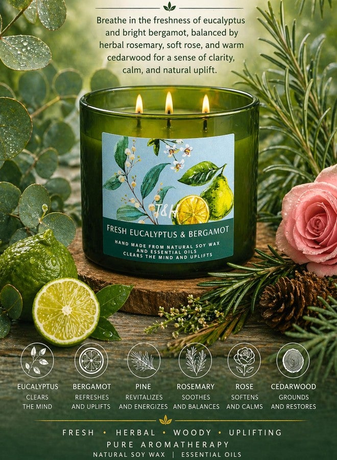 T&H Large 3 Wick Scented Candle - Eucalyptus Bergamot Aromatherapy Stress Relief Candle with Pine, Rose & Cedar - 15.8 oz Spring Candles for Home - Eucalyptus Candles - Natural Soy Candles for Men & Women - Image 2