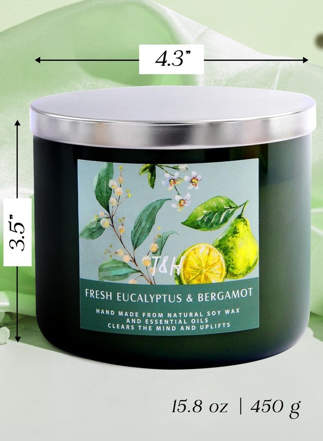 T&H Large 3 Wick Scented Candle - Eucalyptus Bergamot Aromatherapy Stress Relief Candle with Pine, Rose & Cedar - 15.8 oz Spring Candles for Home - Eucalyptus Candles - Natural Soy Candles for Men & Women - Image 5