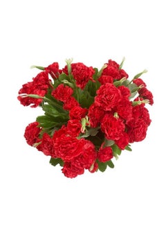 Leoyoubei Leoyoubei 4 Bunches Bouquet of Artificial Silk Flower Carnations11 inch Bouquet and Green Leaf for Home Decoration Bridal Wedding Festival Decoration with 10 Per Bunch Flower (Red)  - Image 1
