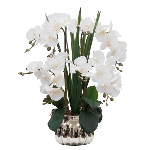 CXGS Artificial Orchid Flower Real Touch Faux Orchids in Ceramic Vase Large 22.9'' Fake Flowers White Phalaenopsis Floral for Home Indoor Decor - Image 1